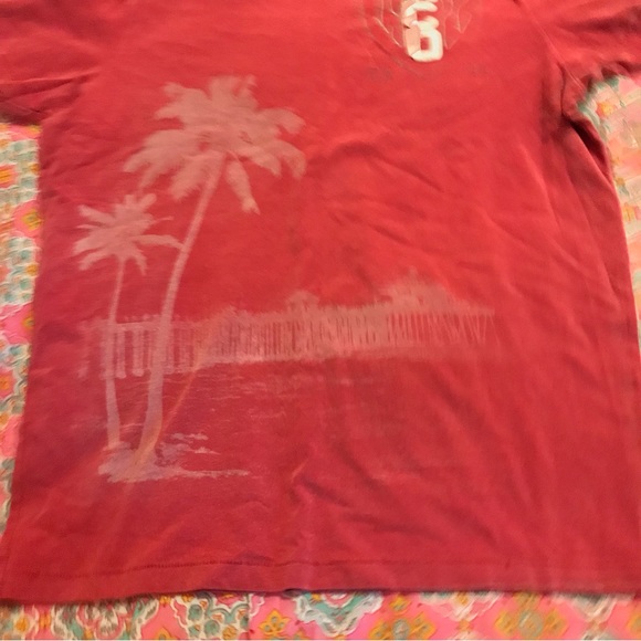 Hollister Malibu Tropical Graphic Brushed Cotton Muted Red Short Sleeve T-Shirt - Picture 10 of 11